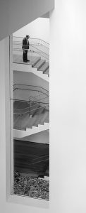 MoMa