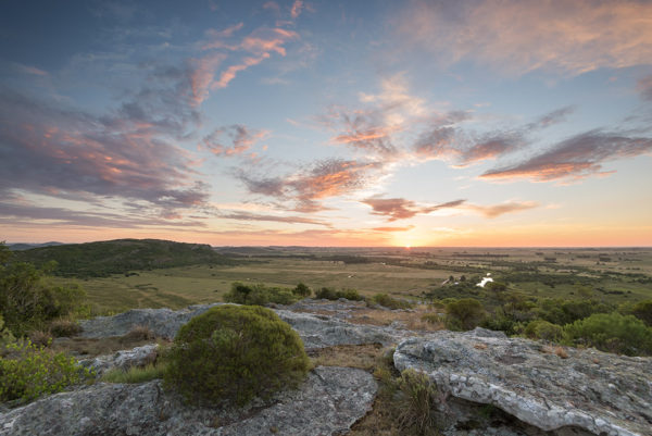 Buena Vista