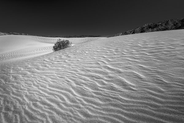 Death Valley I