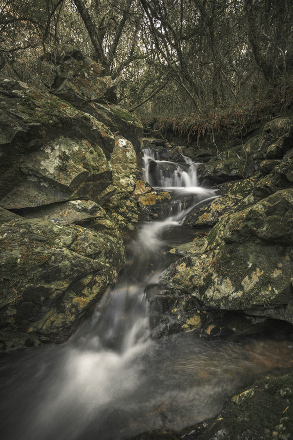 Quebrada